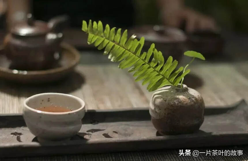 年节喝茶，请牢记这些“健康小贴士”