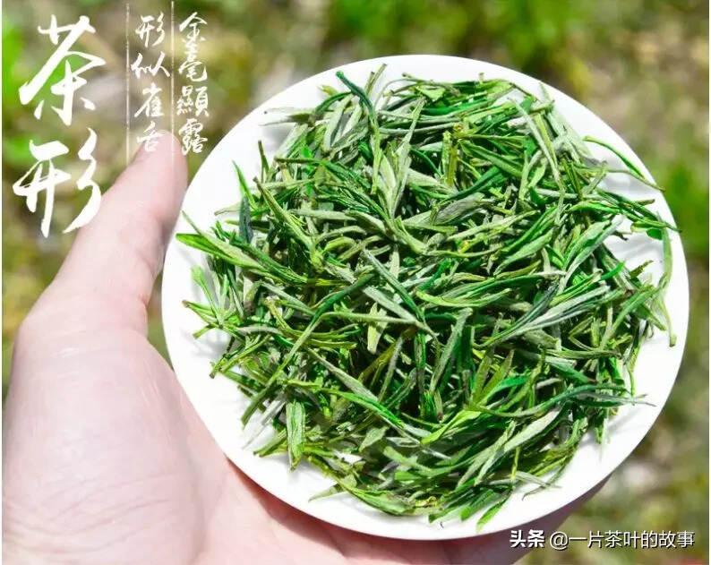 茶中江湖的六大门派