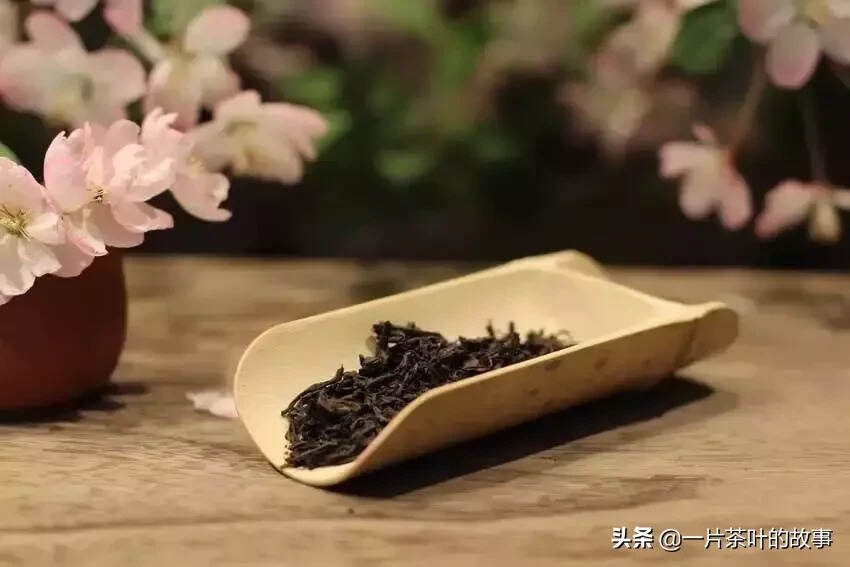 喝茶喝出自己的态度