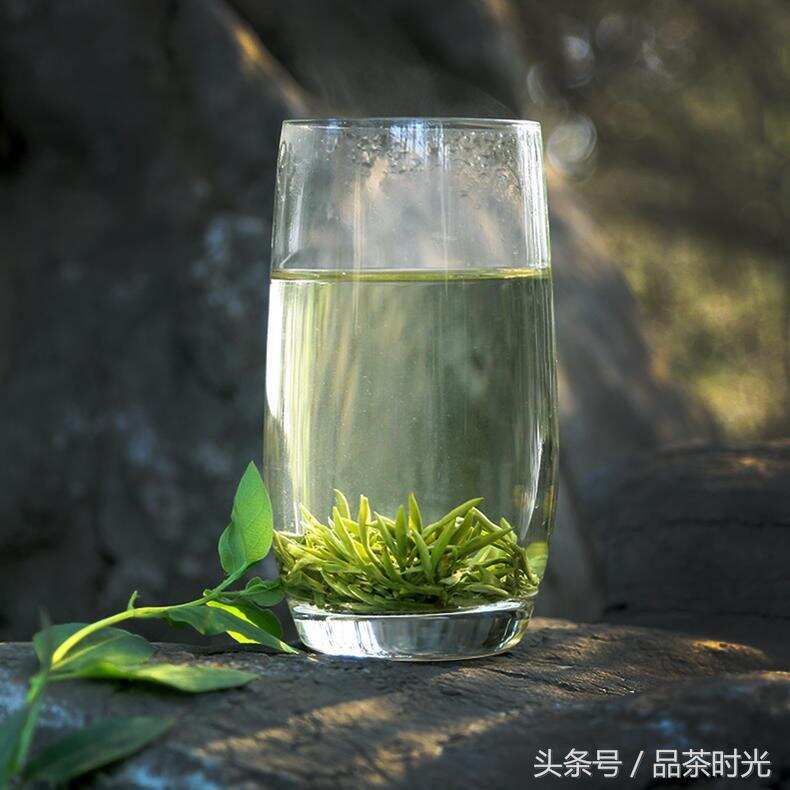 品茶时光｜春茶尝鲜指南