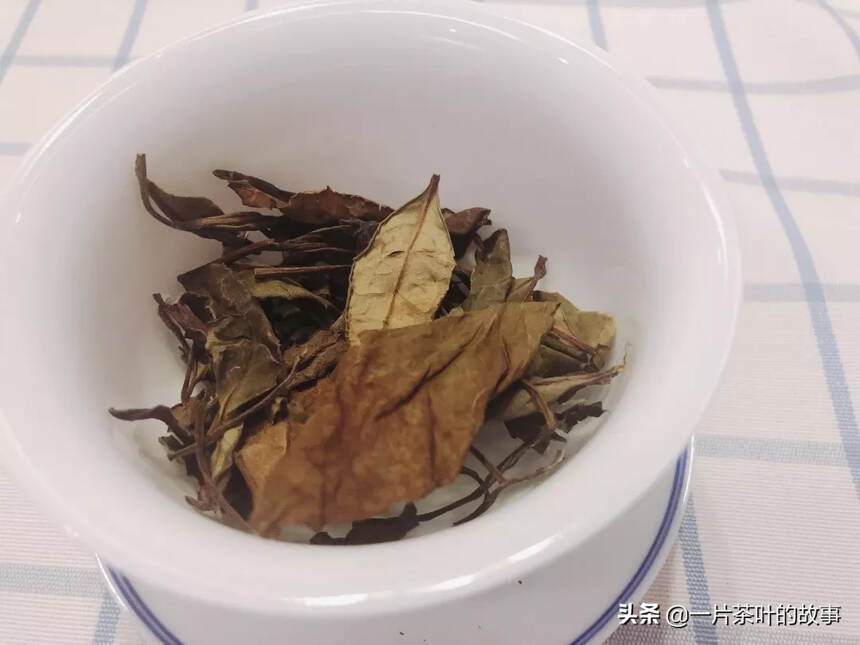 快速提高泡茶水平的小方法，值得收藏