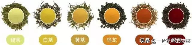 搞懂茶叶没那么难，最全纯干货茶知识