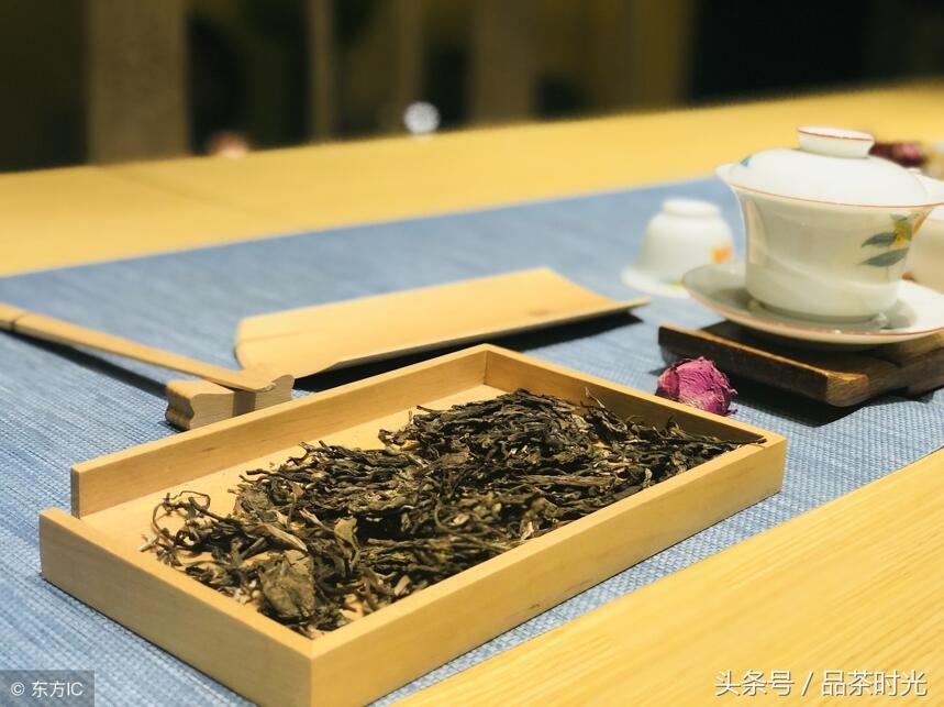 茶底世界！