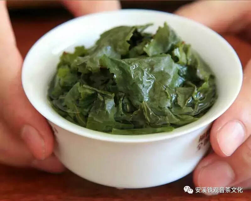 为什么爱茶人最终又抛弃了安溪铁观音呢？