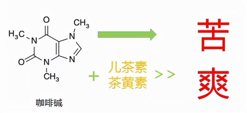 茶叶中的咖啡碱是什么，它的保健功效：强化记忆力、清神醒脑、促消化、抗癌、利尿护肝、防治糖尿病