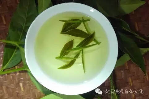 铁观音功效与饮茶禁忌