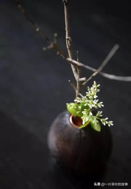 茶席上的花这么插，美到爆炸