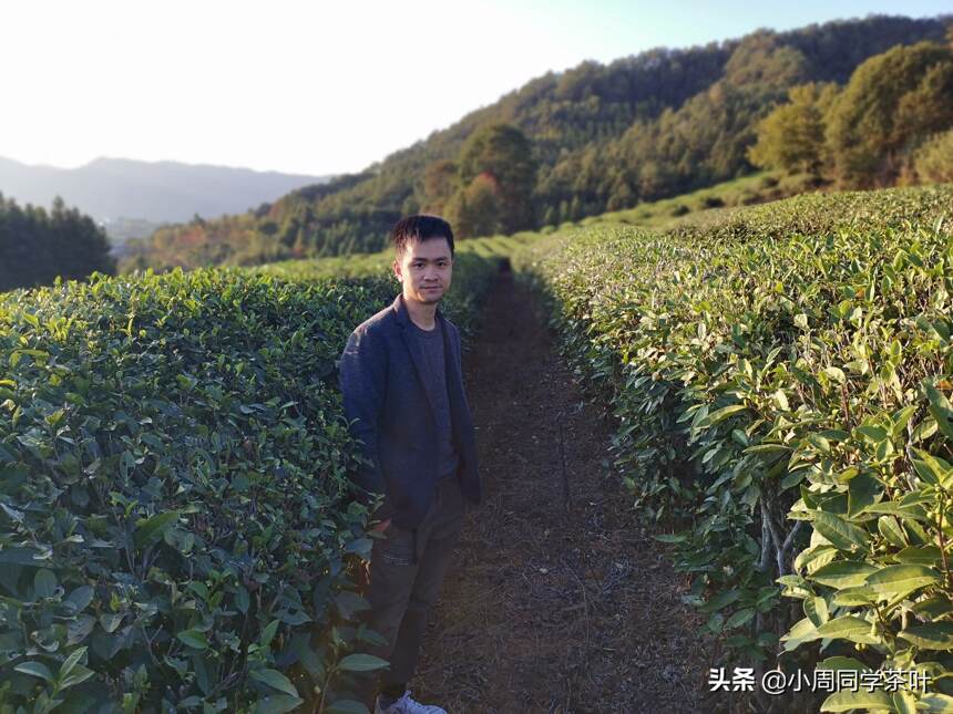 茶，有多贵？各种概念、套路伺候，出厂翻一倍，零售翻几倍？