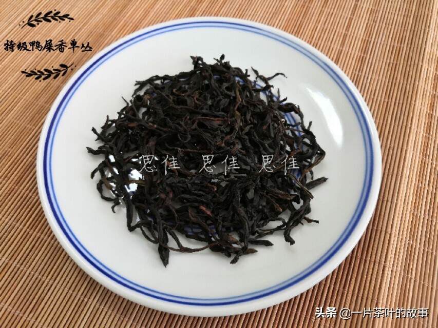 一杯凤凰单丛茶后，心也一片净土