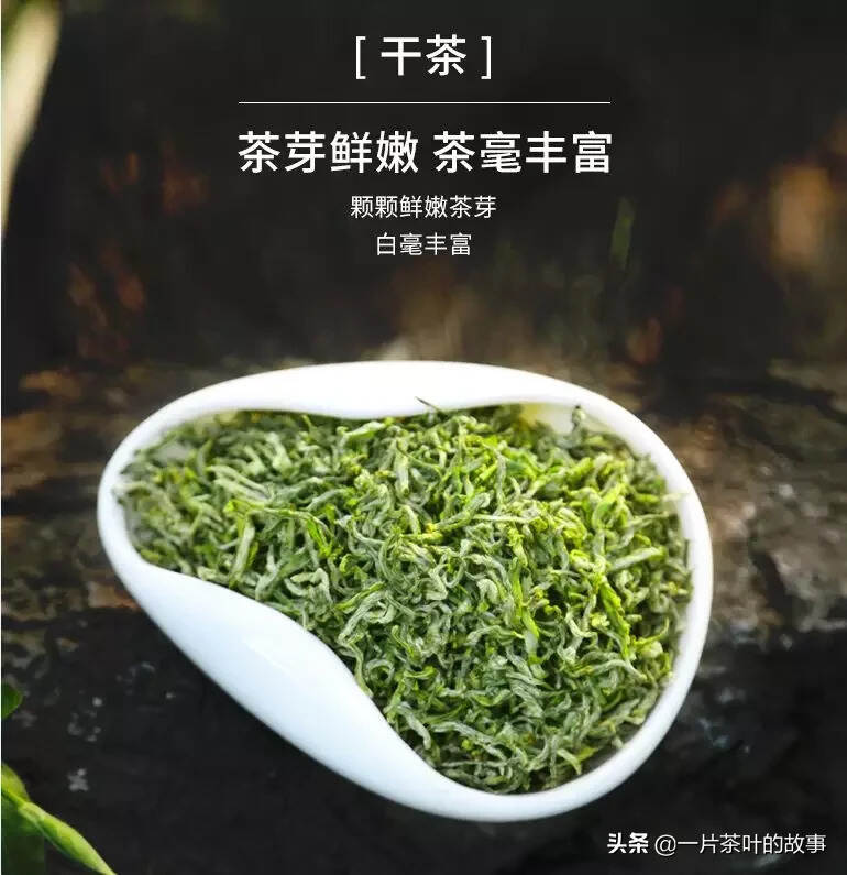 茶中江湖的六大门派