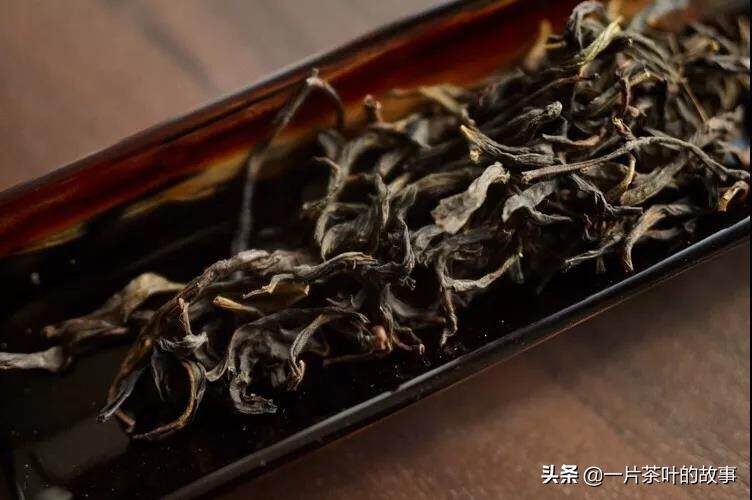 「 乌龙茶 」黄枝香单丛茶