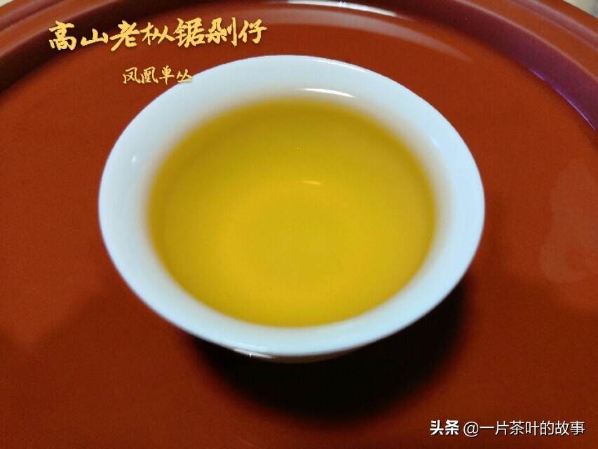 乌龙茶｜这些经典的凤凰单丛茶香型，你一定要尝尝