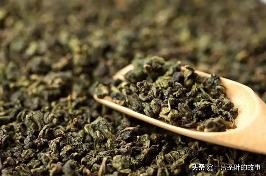 关于乌龙茶的小知识，你都了解吗？