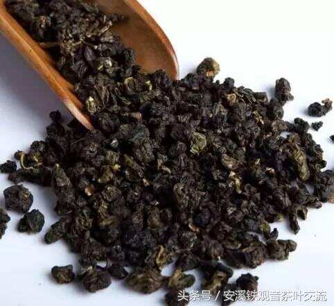 新手入门，你该知道的青茶（乌龙茶) 知识