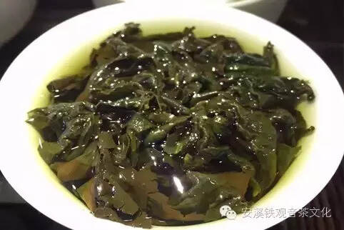 秋茶含露正当时，春水秋香铁观音