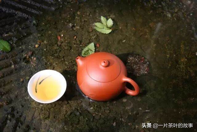 专家教你20条买茶经验（茶人必看）