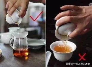 新手学泡茶，先从泡茶不烫手开始！