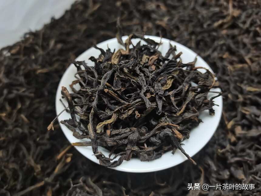 品鉴：中熟火炭焙的春茶/鸭屎香/凤凰单丛，口感醇厚饱满