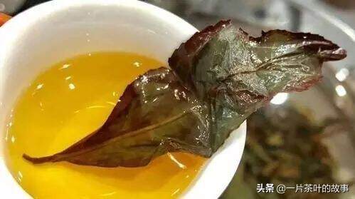 关于乌龙茶的小知识，你都了解吗？