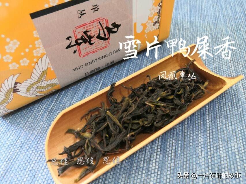 潮汕人的工夫茶道