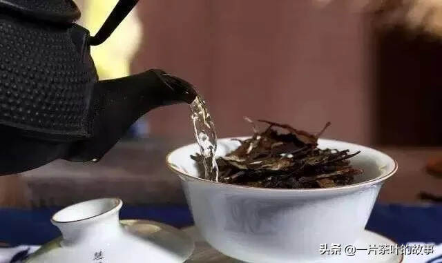 为什么喝茶都不喝第一泡？