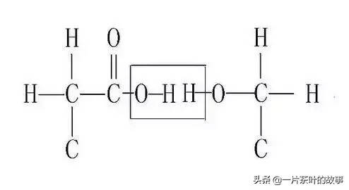 茶回甘里蕴藏着鲜为人知的小秘密