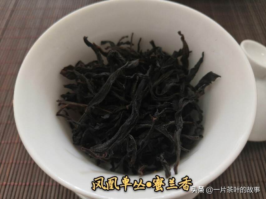 乌龙茶｜这些经典的凤凰单丛茶香型，你一定要尝尝