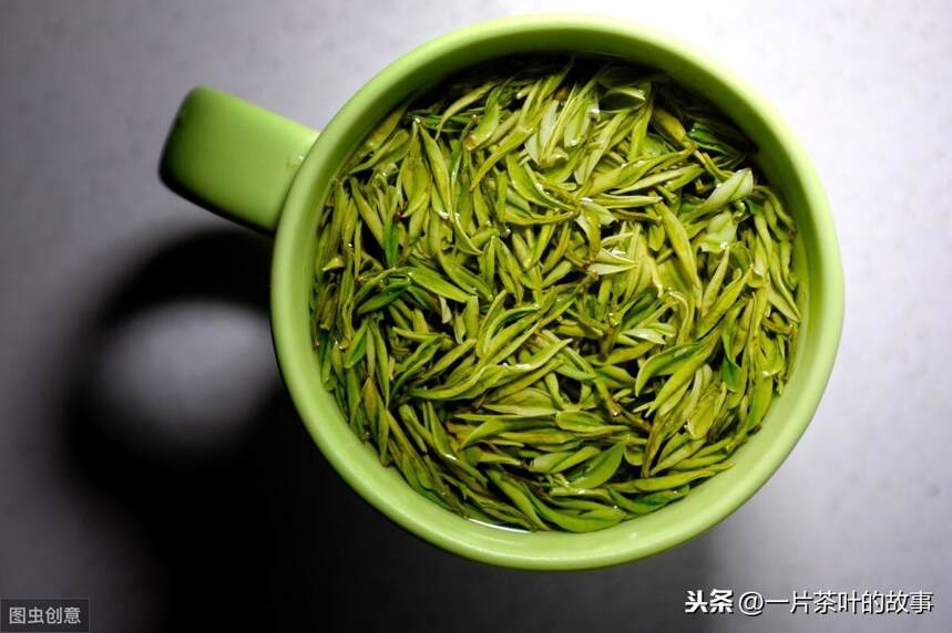 为什么新茶会“刮胃”，而熟茶、老生茶不会？