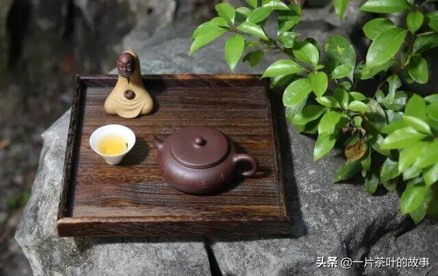 茶道十味，犹如人生