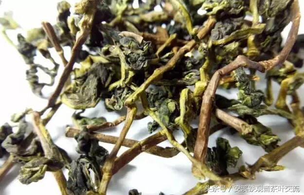 机器铁观音茶与手工铁观音茶如何区别？