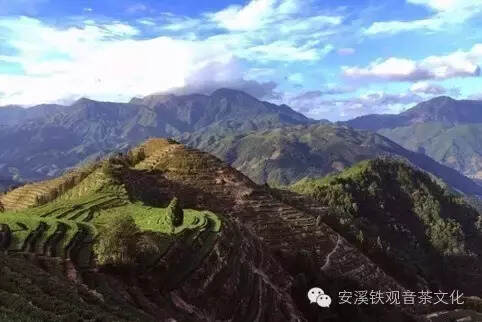 茶叶才是安溪最美代名词 茶山更是迷人