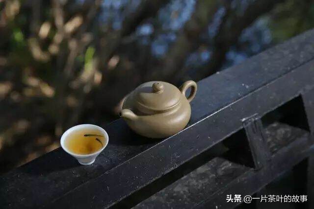 紫砂壶，能不能用来泡绿茶？