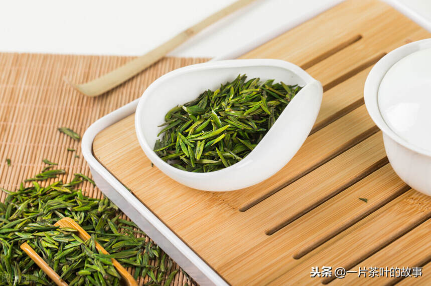 茶知识｜选购新茶注意五点