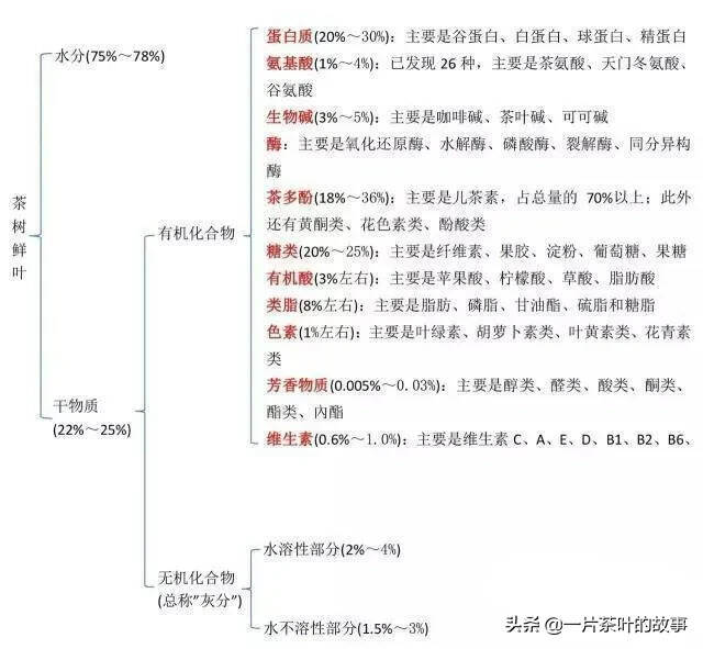 为什么喝茶，每一次口感都不一样？