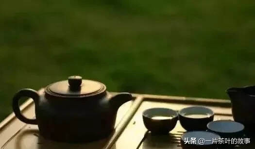 所有你想问的茶叶问题，答案都这里