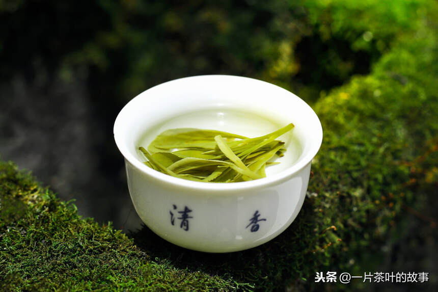 泡绿茶用什么茶具最好