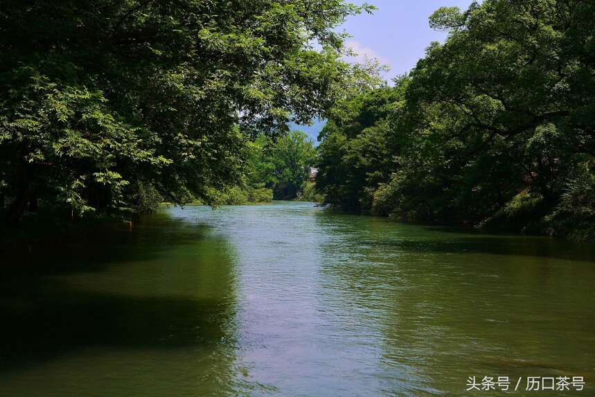 行走茶乡 | 寻找茶源，来一场说走就走的旅行！