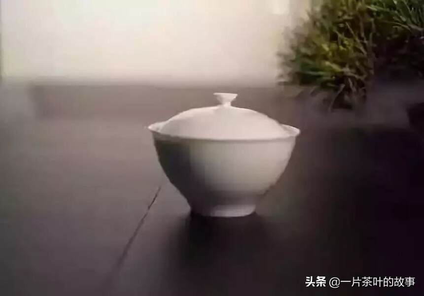 喝茶还会有茶气？到底什么才算茶气？