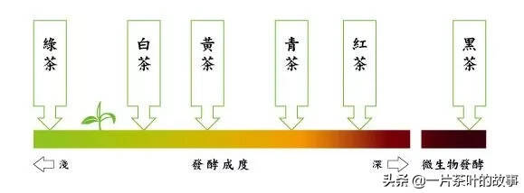 绿茶、白茶、黄茶、青茶、红茶、黑茶，这下终于弄懂了