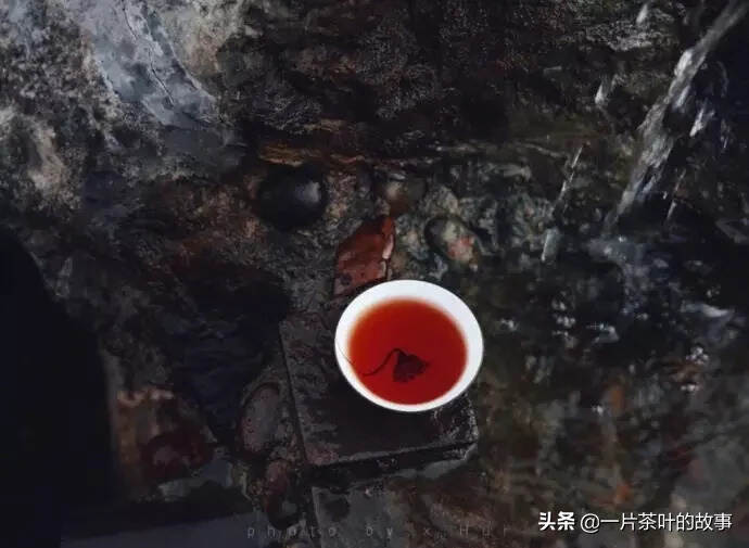 有一種期盼叫春茶