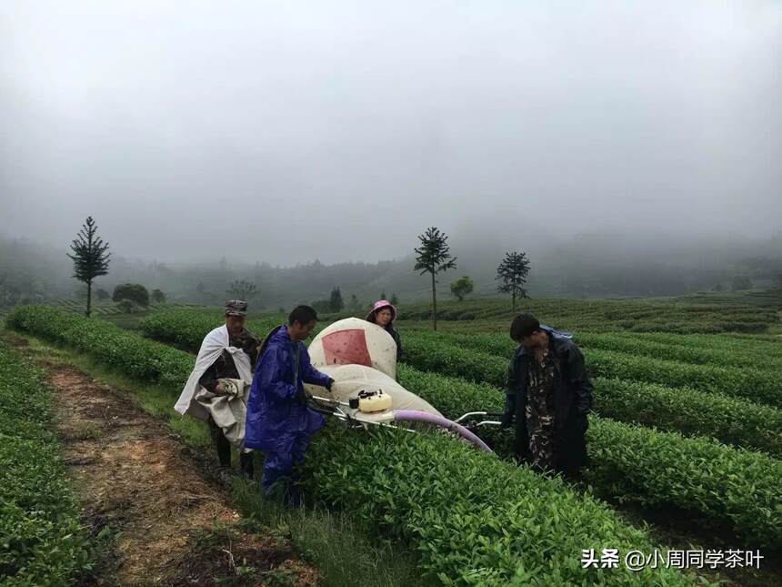 茶，有多贵？各种概念、套路伺候，出厂翻一倍，零售翻几倍？