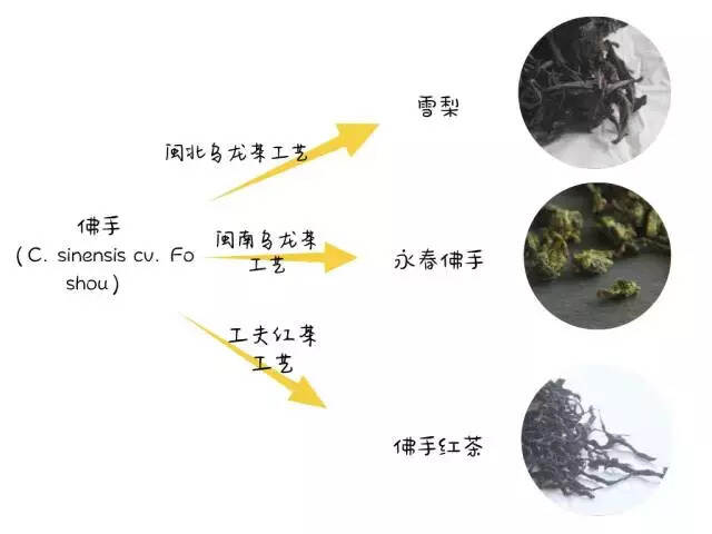 一次帮你辨清那些分不清的品种和品类