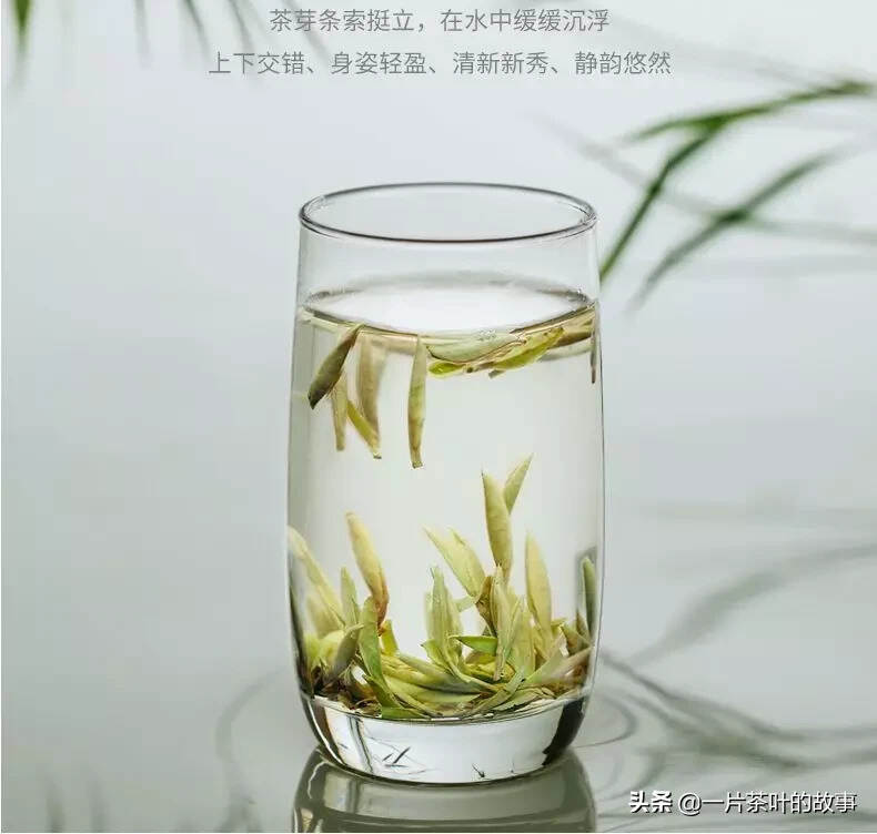 茶中江湖的六大门派