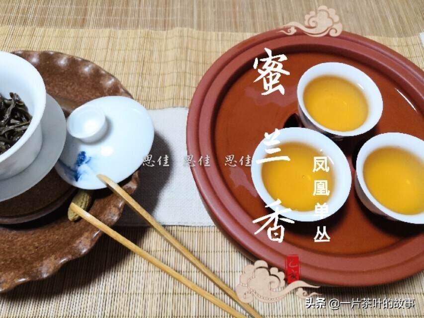 乌龙茶的选购技巧「干货分享」