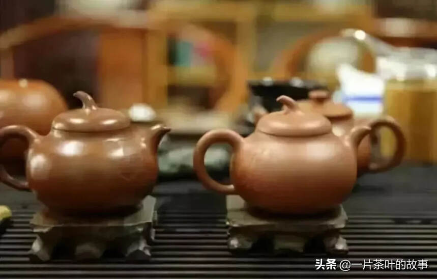 茶知识扫盲！喝茶人必须要知道...