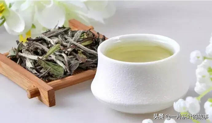 一年四季分别适合饮用什么茶