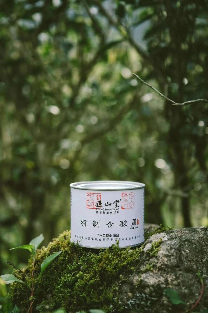 游一处山水，品一盏佳茗