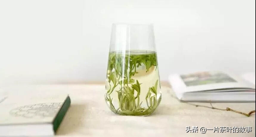 黑茶与其他茶有何不同？