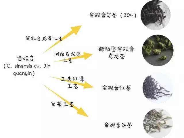 一次帮你辨清那些分不清的品种和品类