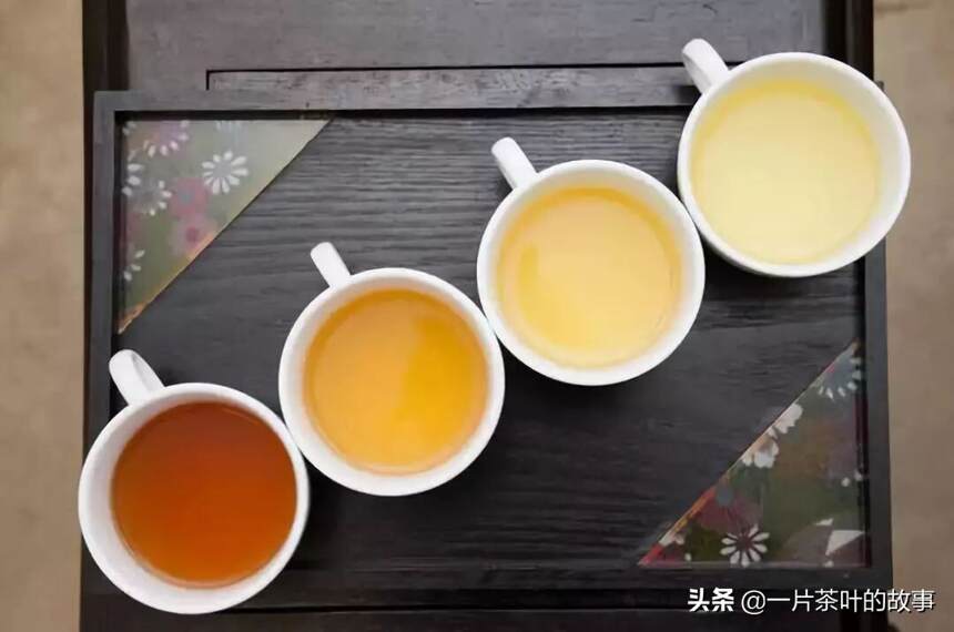 乌龙茶语 | 乌龙茶的四大“家族”